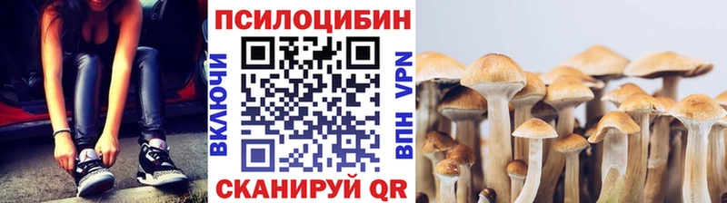 Купить где  Горбатов  Псилоцибиновые грибы ЛСД 